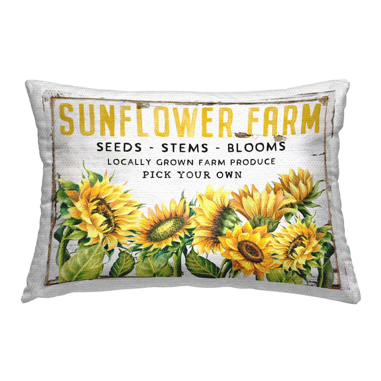 Antique Sunflower Seeds Outdoor Printed Pillow Design by Creatif Belle, 14 x 7 x 20